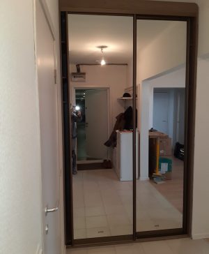 Зеркальный шкаф-купе в нишу в коридор №33 1473